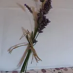 Ca' Rossi Apartamento *