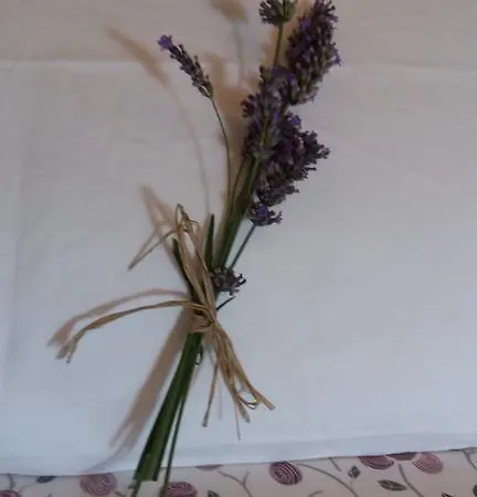 Ca' Rossi Apartamento *