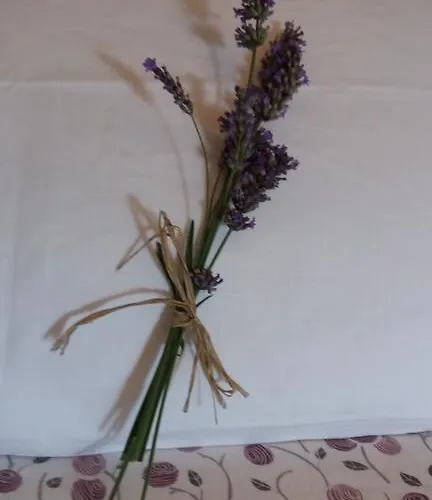 Ca' Rossi 아파트 *